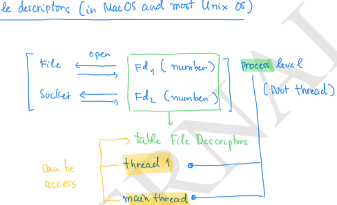 File Descriptors in macOS/Unix